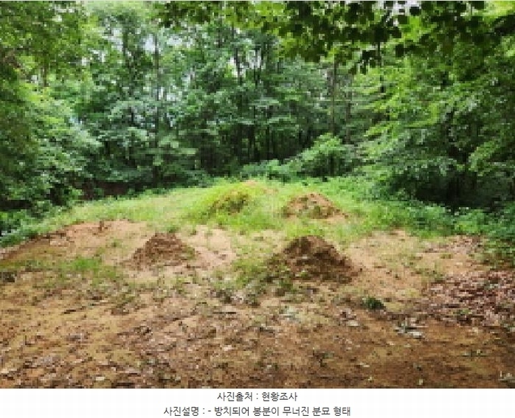 2025타경72496 경기도 양주시 남면 경신리 산13-2 임야 경매 이미지