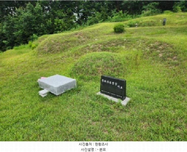 2025타경72496 경기도 양주시 남면 경신리 산13-2 임야 경매 이미지