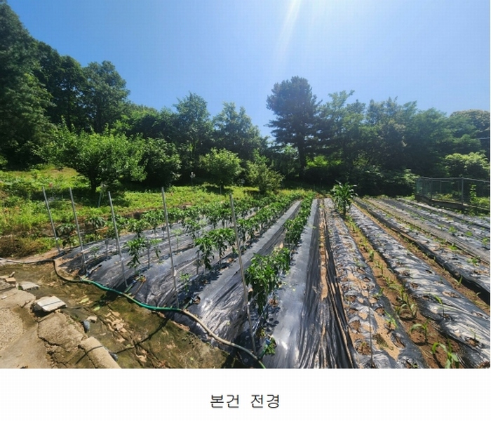 2025타경72496 경기도 양주시 남면 경신리 산13-2 임야 경매 이미지