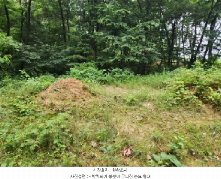 2025타경72496 경기도 양주시 남면 경신리 산13-2 임야 경매 이미지
