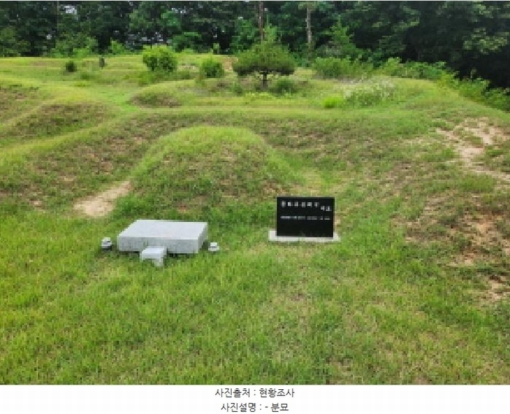 2025타경72496 경기도 양주시 남면 경신리 산13-2 임야 경매 이미지