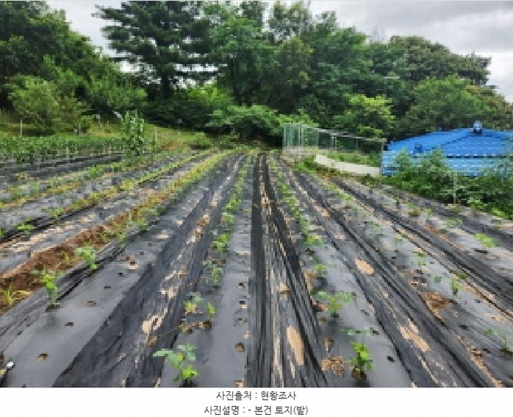 2025타경72496 경기도 양주시 남면 경신리 산13-2 임야 경매 이미지