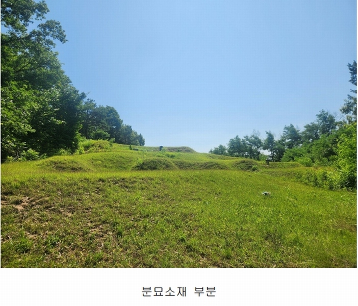 2025타경72496 경기도 양주시 남면 경신리 산13-2 임야 경매 이미지