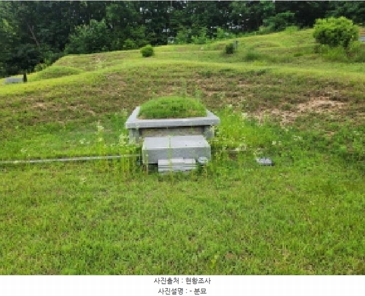 2025타경72496 경기도 양주시 남면 경신리 산13-2 임야 경매 이미지