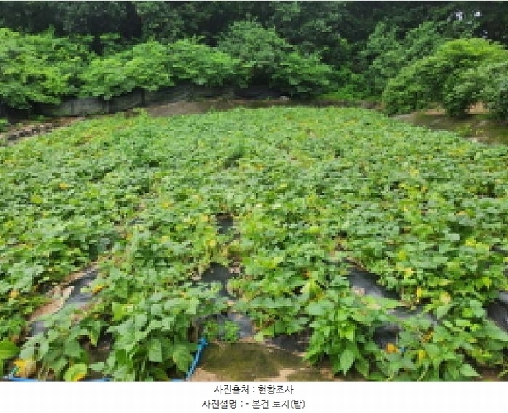 2025타경72496 경기도 양주시 남면 경신리 산13-2 임야 경매 이미지