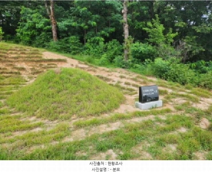 2025타경72496 경기도 양주시 남면 경신리 산13-2 임야 경매 이미지