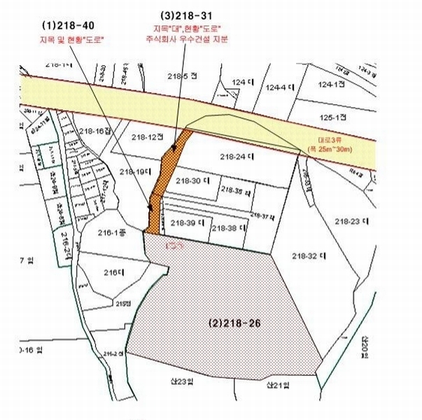 2025타경62376 경기도 파주시 법원읍 대능리 218-40 도로 경매 이미지