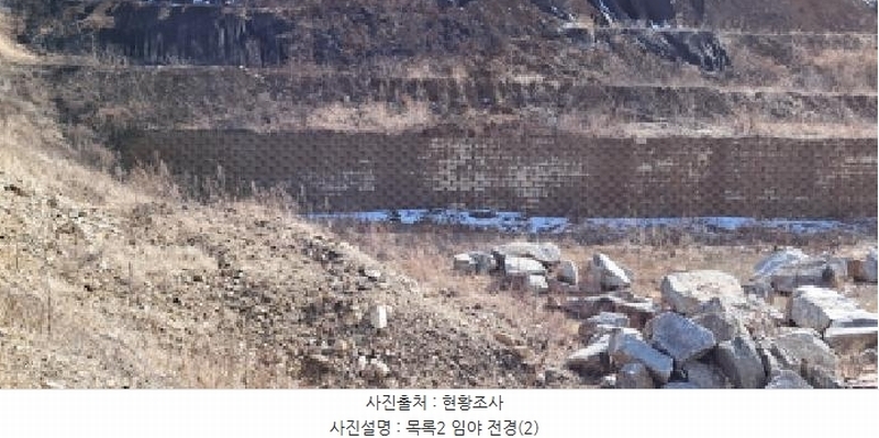 2025타경62376 경기도 파주시 법원읍 대능리 218-40 도로 경매 이미지