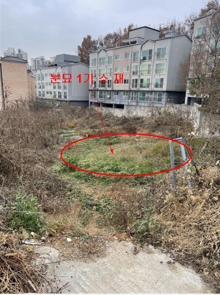 2024타경84768 경기도 고양시 일산동구 식사동 233-1 농지 경매 이미지
