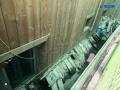 2024타경11100 인천광역시 미추홀구 경인북길 245, 신광빌라 지하층 비01호 다세대(빌라) 경매 이미지