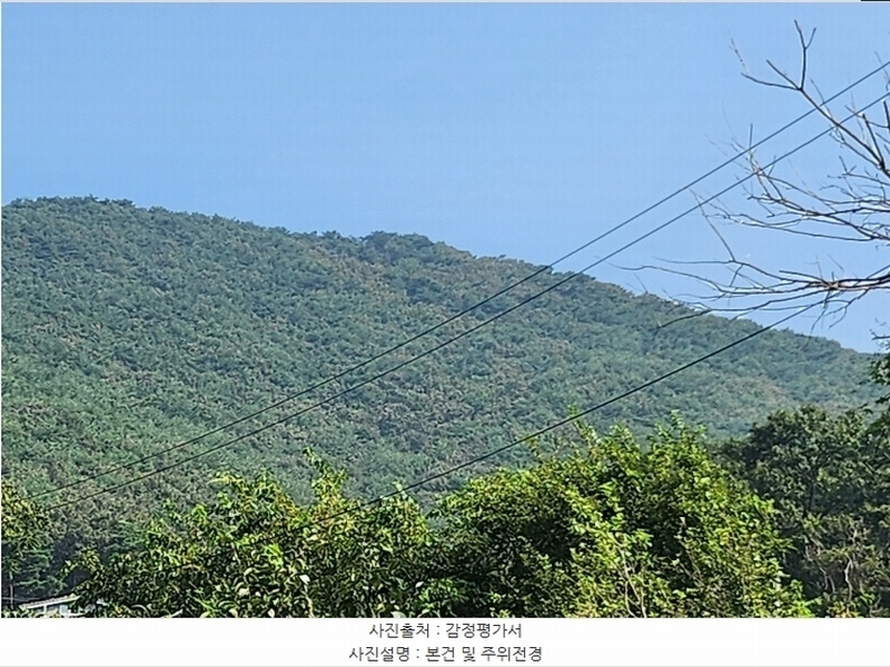 2024타경556252 인천광역시 강화군 길상면 선두리 산67 임야 경매 이미지