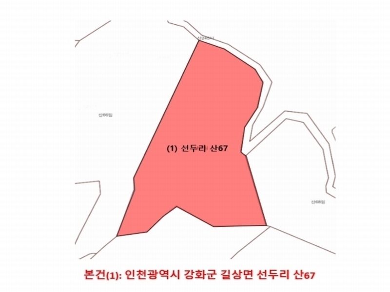 2024타경556252 인천광역시 강화군 길상면 선두리 산67 임야 경매 이미지
