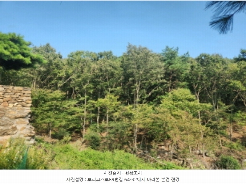 2024타경556252 인천광역시 강화군 길상면 선두리 산67 임야 경매 이미지
