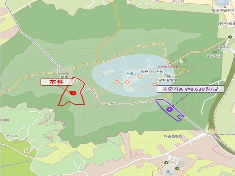 2024타경556252 인천광역시 강화군 길상면 선두리 산67 임야 경매 이미지