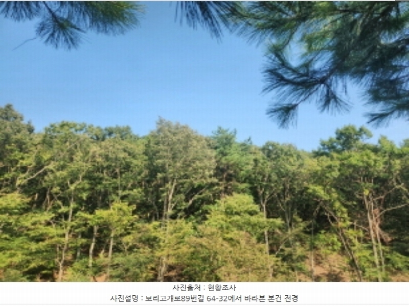 2024타경556252 인천광역시 강화군 길상면 선두리 산67 임야 경매 이미지