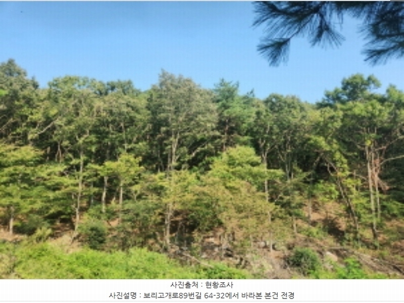2024타경556252 인천광역시 강화군 길상면 선두리 산67 임야 경매 이미지