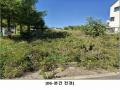 2024타경563182 인천광역시 중구 운남동 1684-9 대지 경매 이미지