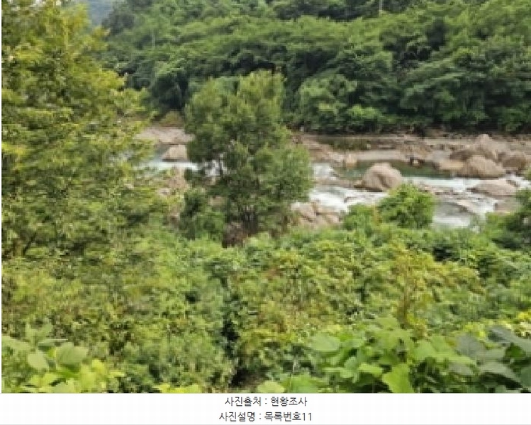 2025타경736 경상남도 하동군 화개면 용강리 산8 임야 경매 이미지