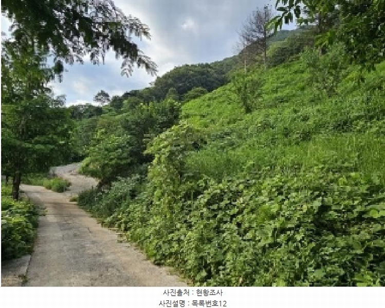 2025타경736 경상남도 하동군 화개면 용강리 산8 임야 경매 이미지
