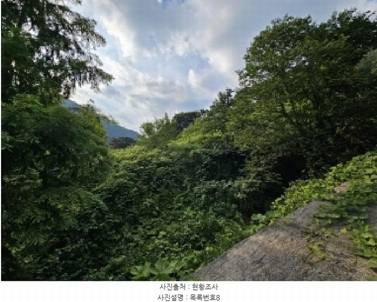 2025타경736 경상남도 하동군 화개면 용강리 산8 임야 경매 이미지