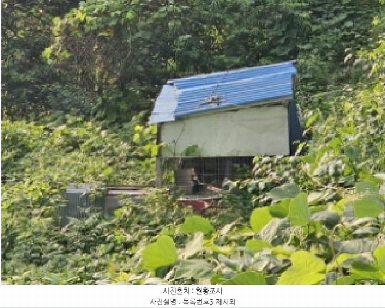 2025타경736 경상남도 하동군 화개면 용강리 산8 임야 경매 이미지