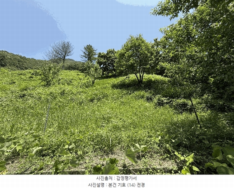 2025타경736 경상남도 하동군 화개면 용강리 산8 임야 경매 이미지