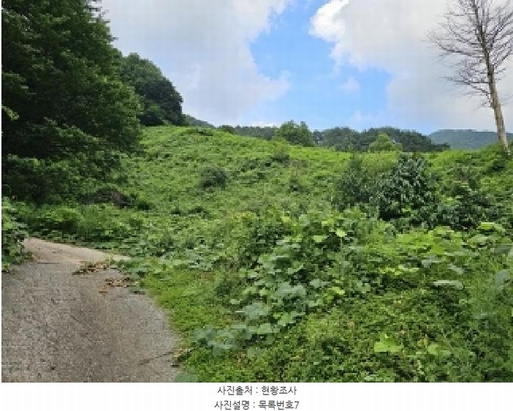 2025타경736 경상남도 하동군 화개면 용강리 산8 임야 경매 이미지