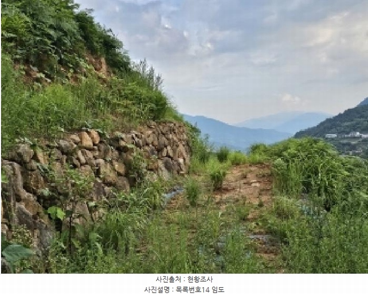 2025타경736 경상남도 하동군 화개면 용강리 산8 임야 경매 이미지