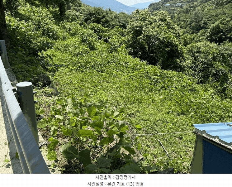 2025타경736 경상남도 하동군 화개면 용강리 산8 임야 경매 이미지