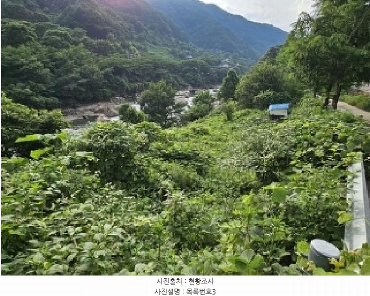 2025타경736 경상남도 하동군 화개면 용강리 산8 임야 경매 이미지