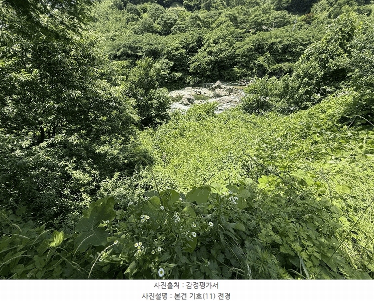 2025타경736 경상남도 하동군 화개면 용강리 산8 임야 경매 이미지