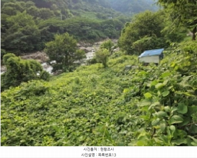 2025타경736 경상남도 하동군 화개면 용강리 산8 임야 경매 이미지