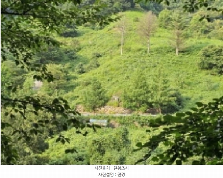 2025타경736 경상남도 하동군 화개면 용강리 산8 임야 경매 이미지