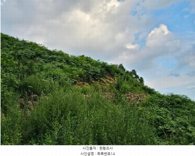 2025타경736 경상남도 하동군 화개면 용강리 산8 임야 경매 이미지