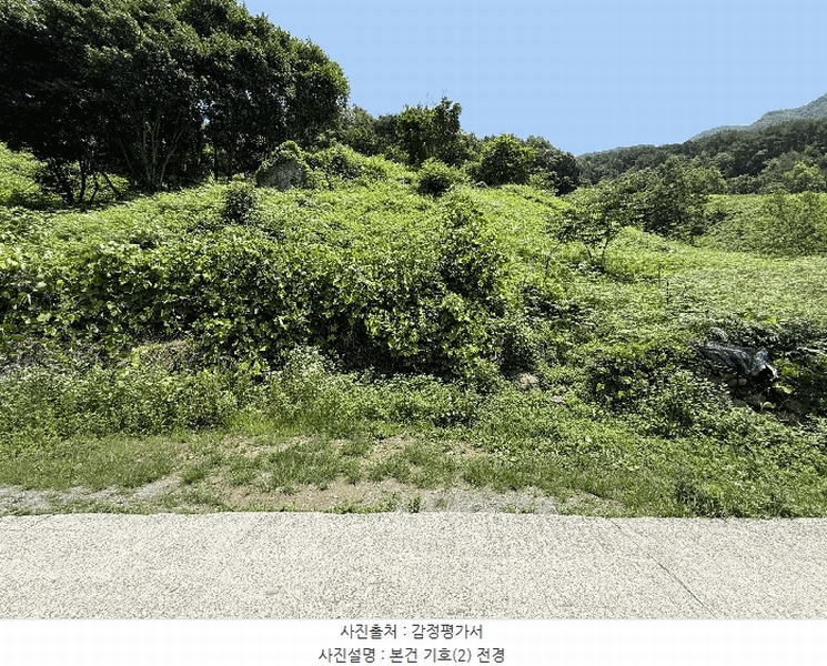 2025타경736 경상남도 하동군 화개면 용강리 산8 임야 경매 이미지
