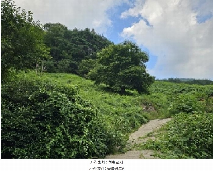 2025타경736 경상남도 하동군 화개면 용강리 산8 임야 경매 이미지