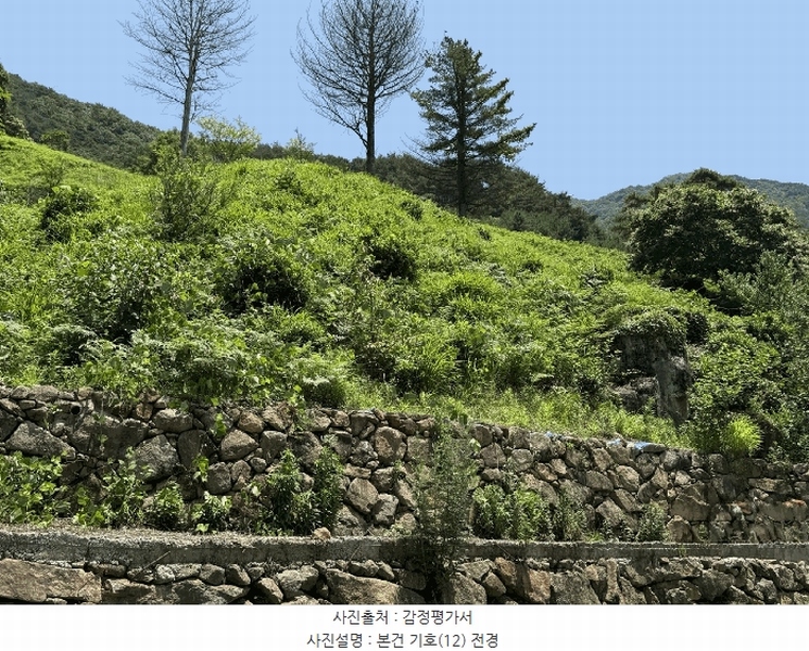 2025타경736 경상남도 하동군 화개면 용강리 산8 임야 경매 이미지