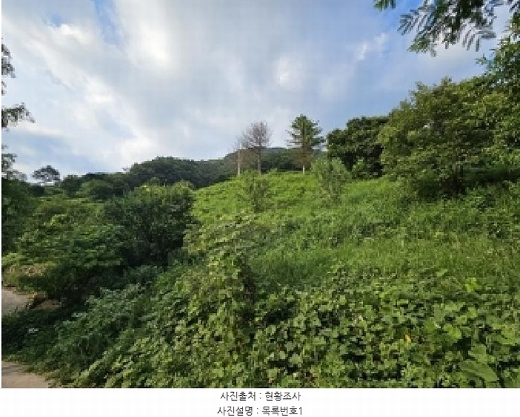 2025타경736 경상남도 하동군 화개면 용강리 산8 임야 경매 이미지