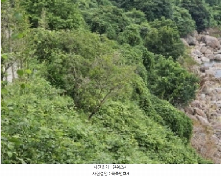 2025타경736 경상남도 하동군 화개면 용강리 산8 임야 경매 이미지
