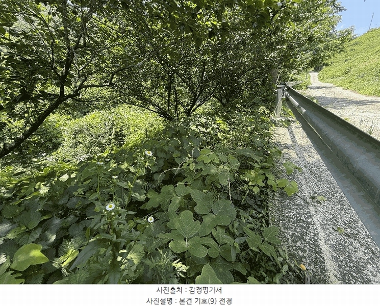 2025타경736 경상남도 하동군 화개면 용강리 산8 임야 경매 이미지