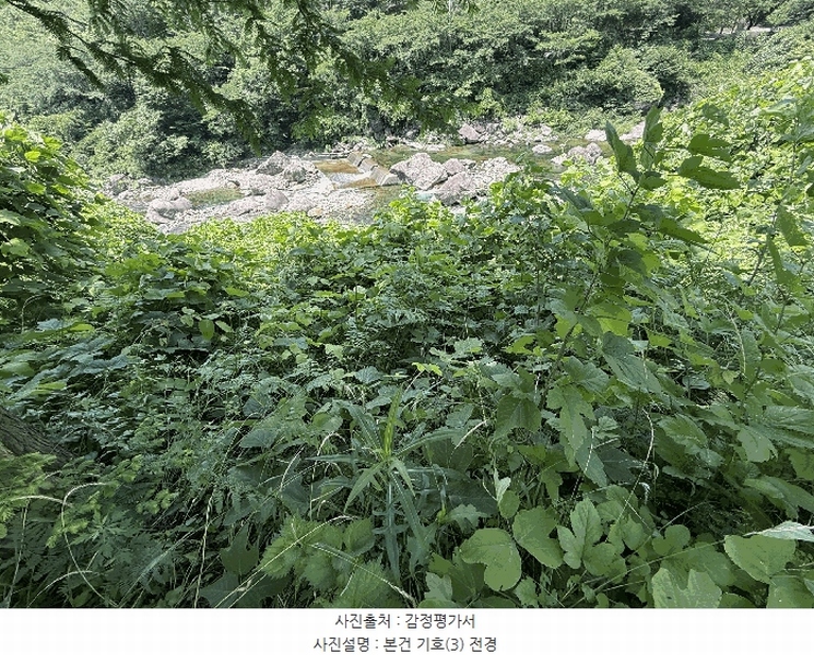 2025타경736 경상남도 하동군 화개면 용강리 산8 임야 경매 이미지