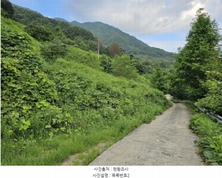 2025타경736 경상남도 하동군 화개면 용강리 산8 임야 경매 이미지