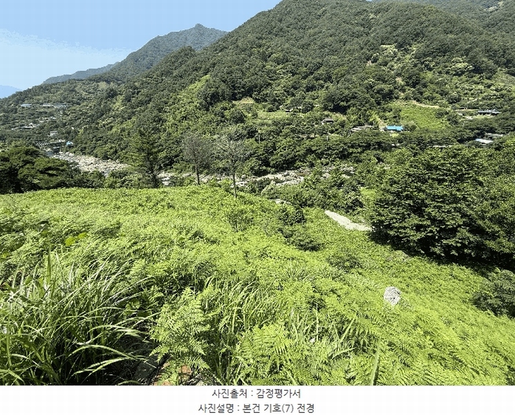 2025타경736 경상남도 하동군 화개면 용강리 산8 임야 경매 이미지