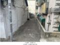 2024타경578825 인천광역시 미추홀구 숭의동 248-2 도로 경매 이미지