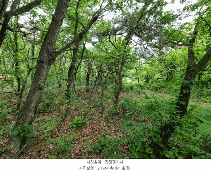 2025타경906 울산광역시 울주군 상북면 지내리 산81-2 임야 경매 이미지