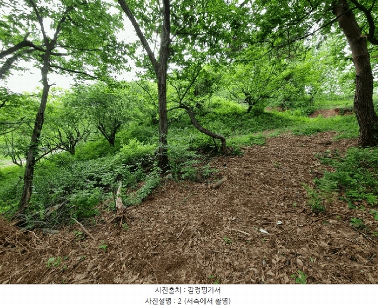 2025타경906 울산광역시 울주군 상북면 지내리 산81-2 임야 경매 이미지
