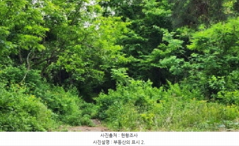 2025타경906 울산광역시 울주군 상북면 지내리 산81-2 임야 경매 이미지