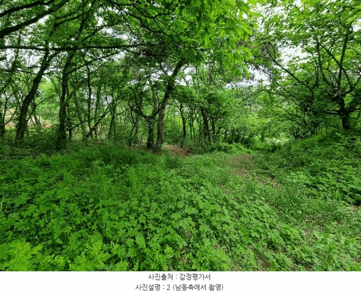 2025타경906 울산광역시 울주군 상북면 지내리 산81-2 임야 경매 이미지