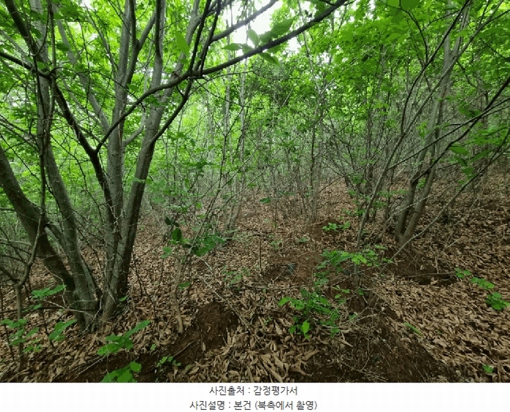 2025타경906 울산광역시 울주군 상북면 지내리 산81-2 임야 경매 이미지