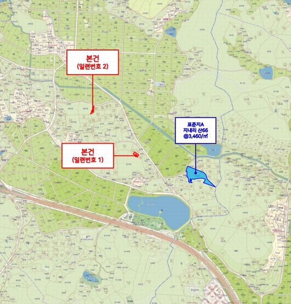2025타경906 울산광역시 울주군 상북면 지내리 산81-2 임야 경매 이미지